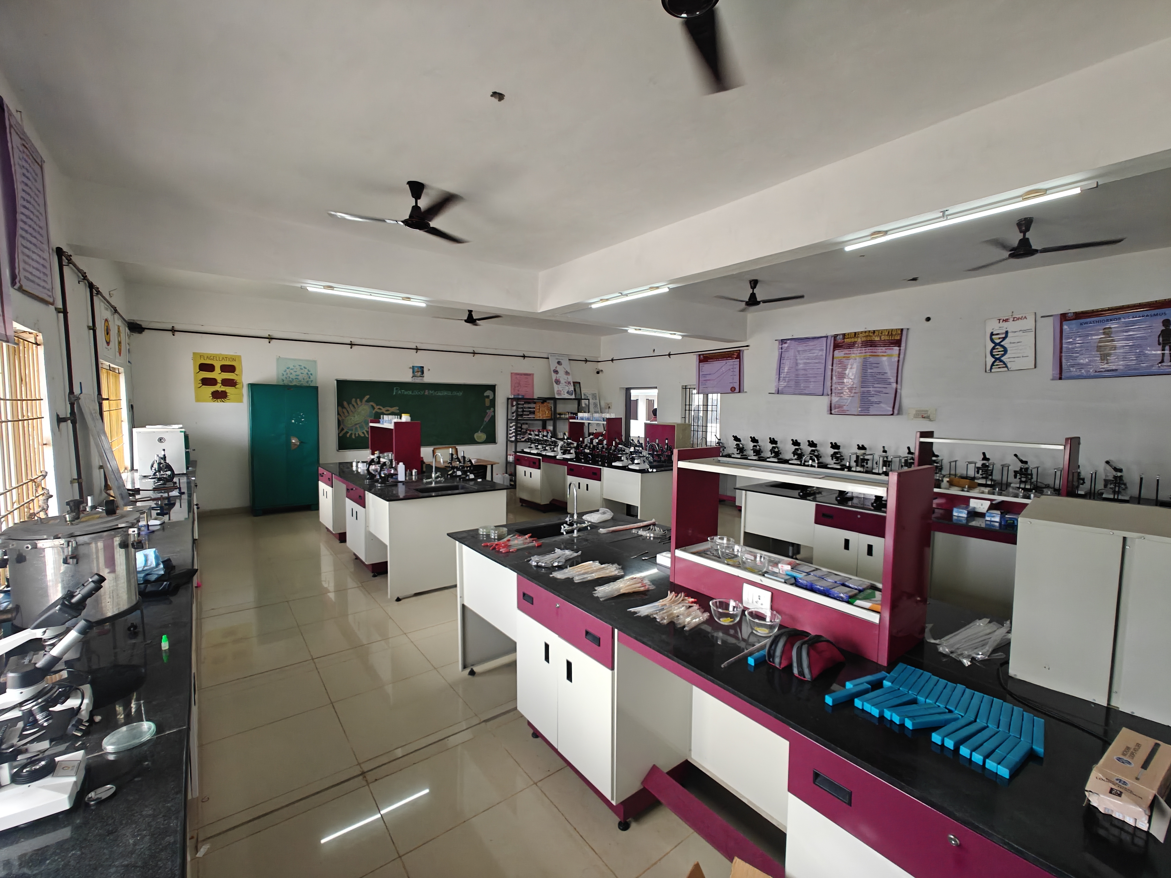 Noi Naadal & Noi Mudhal Naadal (Including Nunnuyiriyal)