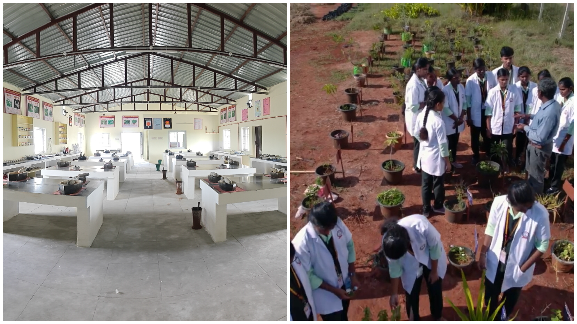 Gunapadam - Marunthiyal (including Medicinal Botany)